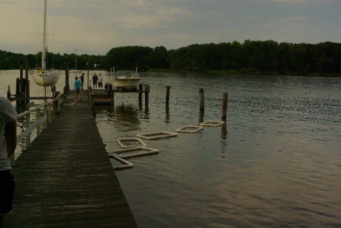 Oyster Floats at Bayfields