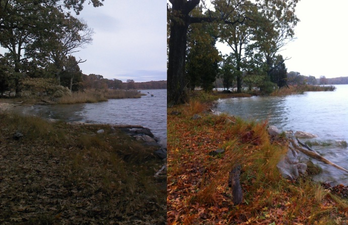 High water before and during Super Storm Sandy at Bayfields on the West River